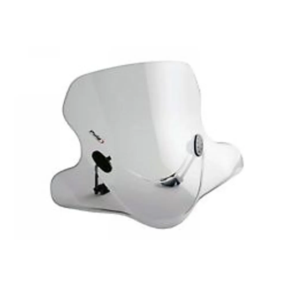 Cupolino Puig Fume Chiaro 0322h Honda @ 125 2000 > 2002-0322H-139885