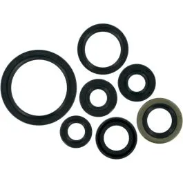 MOOSE RACING 822193MSE OIL SEAL SET OFFROAD