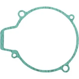 RICK'S MOTORSPORT ELECTRIC 25-001 STATOR COVER GASKET