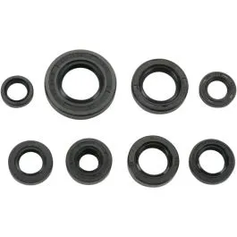 MOOSE RACING 822181MSE OIL SEAL SET