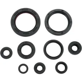 MOOSE RACING 822248MSE OIL SEAL SET