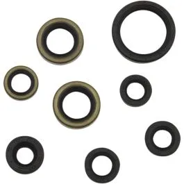 MOOSE RACING 822485MSE COMPLETE OIL SEAL SET