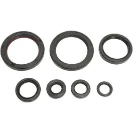 MOOSE RACING 822989MSE COMPLETE OIL SEAL SET