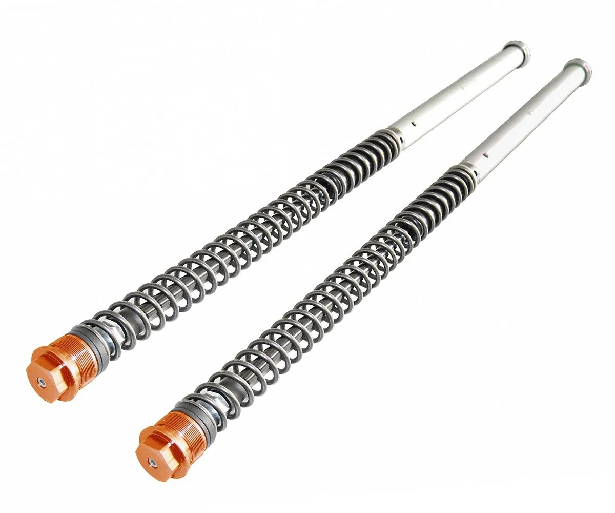 Cartucce Regolabili Andreani Per Ktm Sx 50 2017-106/KT1-274430