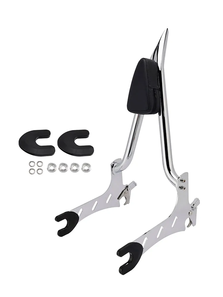 Dossier passager Sissy Bar Vintage Dark Horse 2021