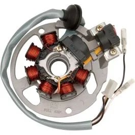 RICK'S MOTORSPORT ELECTRIC 21-550 STATOR OEM STYLE