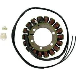 RICK'S MOTORSPORT ELECTRIC 21-316 STATOR OEM STYLE