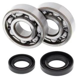 ALL BALLS 24-1002 CRANKSHAFT BEARING KIT