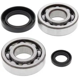 ALL BALLS 24-1004 CRANKSHAFT BEARING KIT
