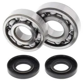 ALL BALLS 24-1007 CRANKSHAFT BEARING KIT