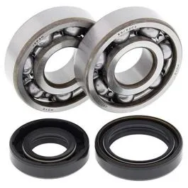 ALL BALLS 24-1008 CRANKSHAFT BEARING KIT