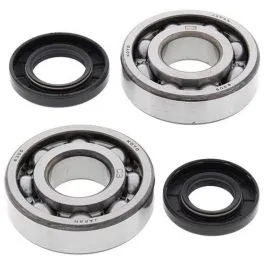 ALL BALLS 24-1009 CRANKSHAFT BEARING KIT