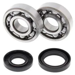 ALL BALLS 24-1025 CRANKSHAFT BEARING KIT
