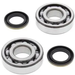 ALL BALLS 24-1045 CRANKSHAFT BEARING KIT