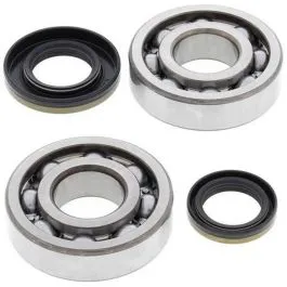 ALL BALLS 24-1046 CRANKSHAFT BEARING KIT