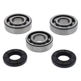ALL BALLS 24-1117 CRANKSHAFT BEARING KIT