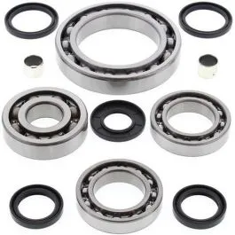 ALL BALLS 25-2059 DIFFERENTIAL BEARING AND SEAL KIT FRONT