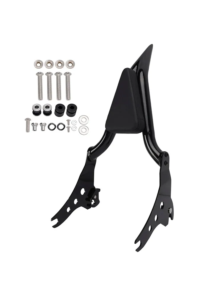 Dossier de sissy bar passager FXBB 107 2018-2020