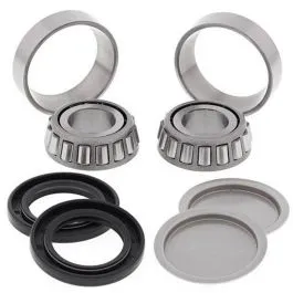 ALL BALLS 28-1056 SWING ARM BEARING KIT