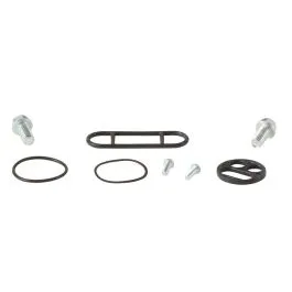 ALL BALLS 60-1091 FUEL TAP REPAIR KIT
