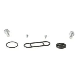 ALL BALLS 60-1094 FUEL TAP REPAIR KIT
