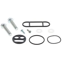 ALL BALLS 60-1095 FUEL TAP REPAIR KIT