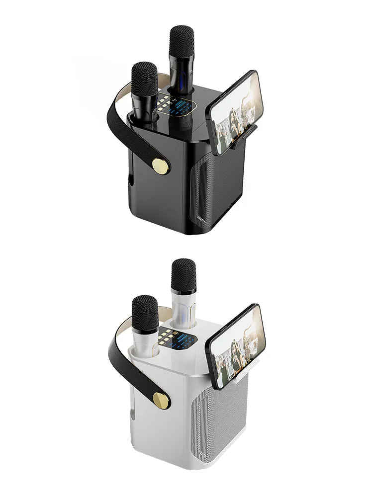 Enceinte Bluetooth sans fil, double microphone, karaoké, portable, pour la maison