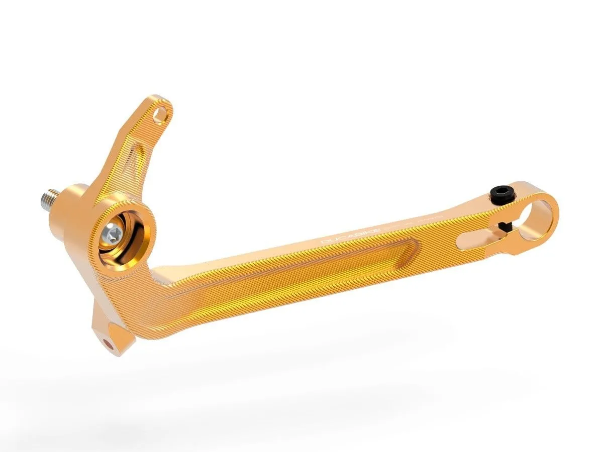 Leva Freno Ducabike Dbk Rplf20b Oro Per Ducati Diavel 1260/s 2019 > 2022-RPLF20B-282771