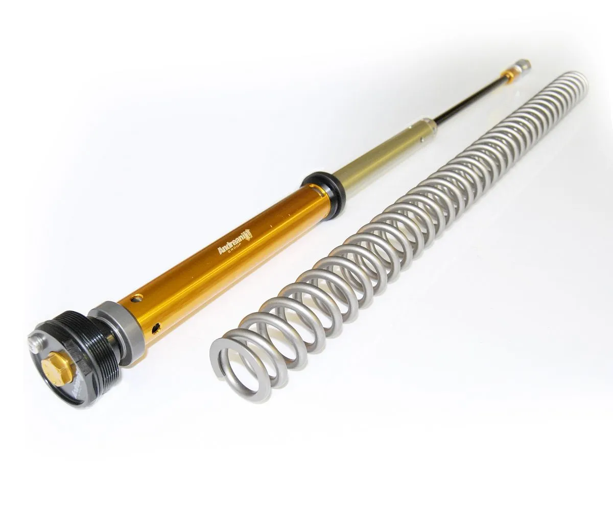 Cartuccia Lato Aria + Molla Andreani Per Wp Air Per Husqvarna Tc 125 2021-106/HA1-274419