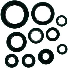 MOOSE RACING 822107MSE OIL SEAL SET
