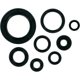 MOOSE RACING 822110MSE OIL SEAL SET