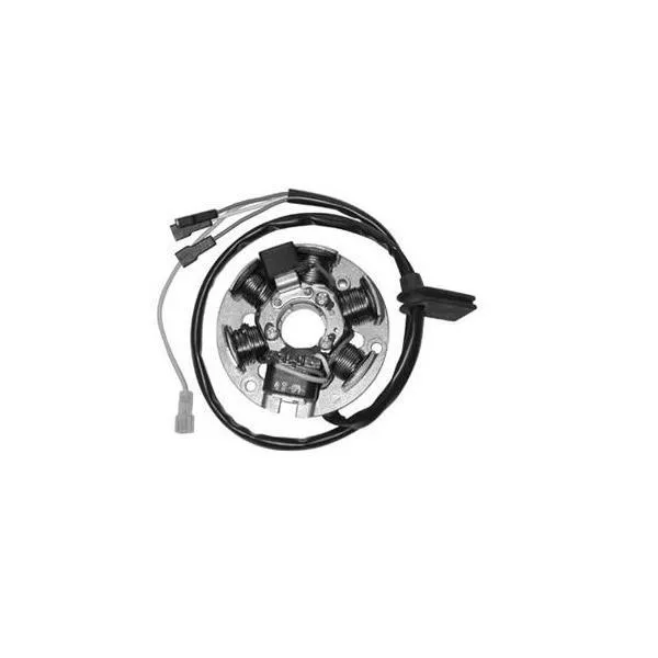 Statore Ducati Energia per Derbi Gpr 50 00-05